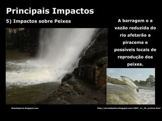 5) Impactos sobre Peixes Zeleotaporia.blogspot.com http://jornaldasilva.blogspot.com/2007_11_25_archive.html Principais Impactos A barragem e a vazão reduzida do rio afetarão a piracema e possíveis locais de reprodução dos peixes. 