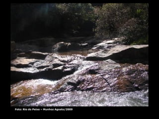 Foto: Rio do Peixe – Munhoz Agosto/2009 