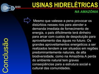 Conclusão Mesmo que valesse a pena provocar os distúrbios nesses rios para atender a demanda imediata de fornecimento de energia, o país dificilmente terá dinheiro para arcar com custos de despoluição para aproveitamento das águas no futuro. Os grandes aproveitamentos  energeticos  a ser realizados tendem a ser situados em regiões predominantemente naturais, de alta biodiversidade, como na Ama zô n ia.A perda do ambiente natural  tem graves conseqüências para a estrutura social e cultural das comunidades.  