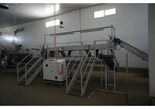 Usine agri production