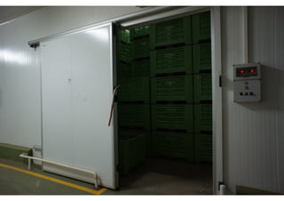 Usine agri production