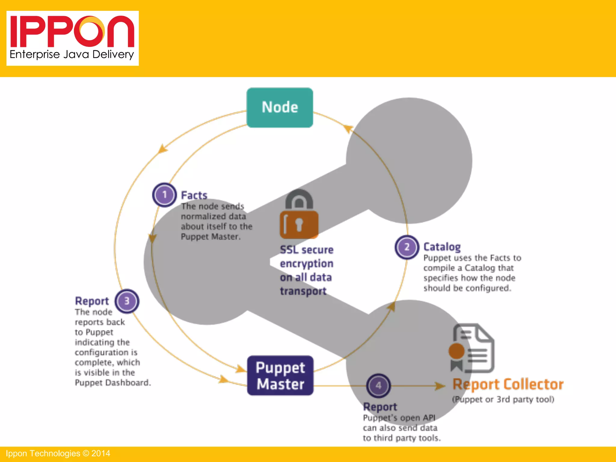 Ippon Technologies © 2014
 