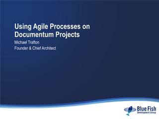 Using Agile Processes on Documentum Projects Michael Trafton Founder & Chief Architect 