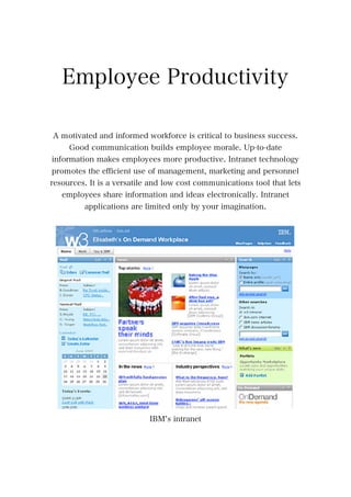 Using An Intranet Within A Company