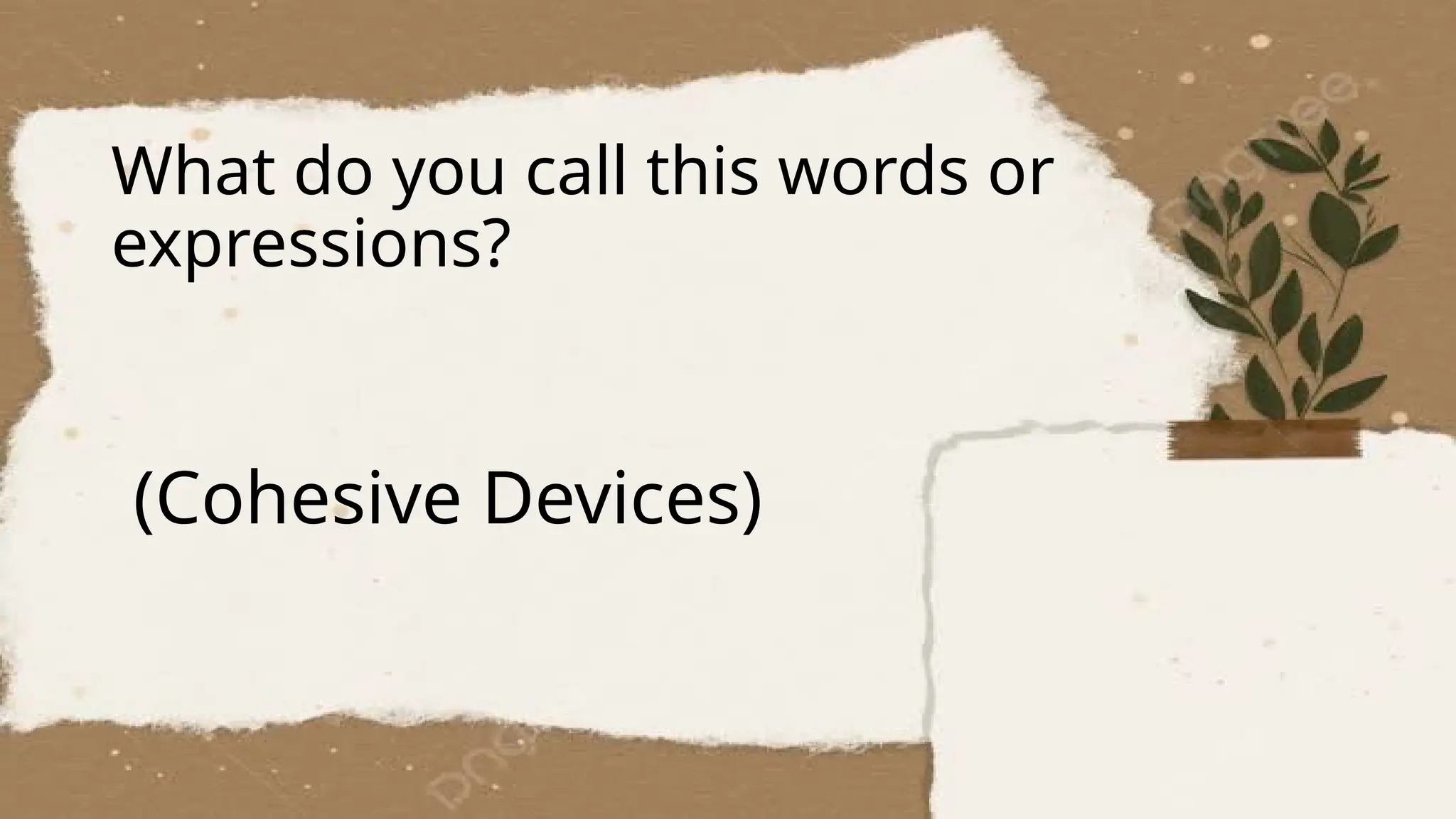What do you call this words or
expressions?
(Cohesive Devices)
 