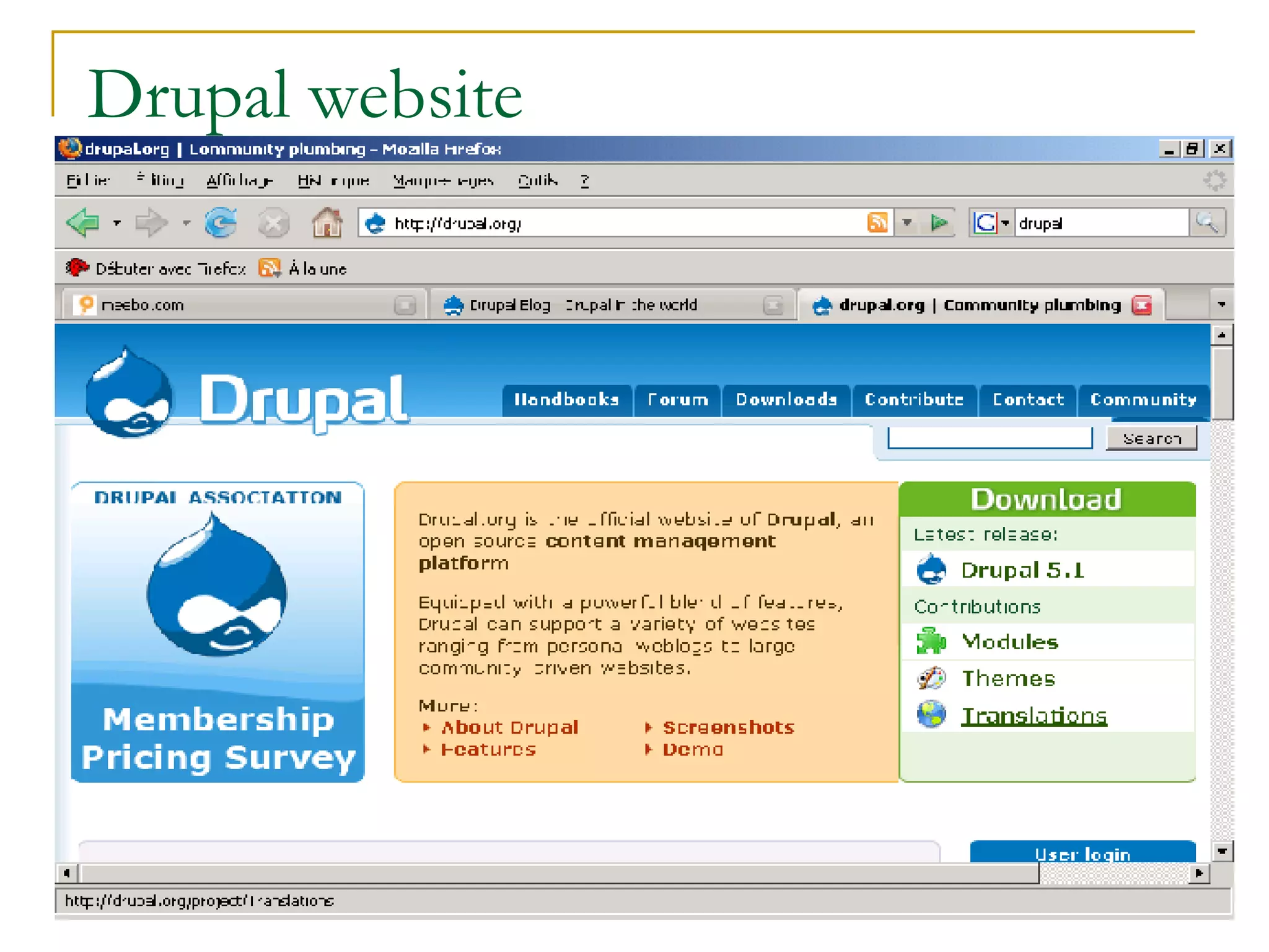 Drupal website 