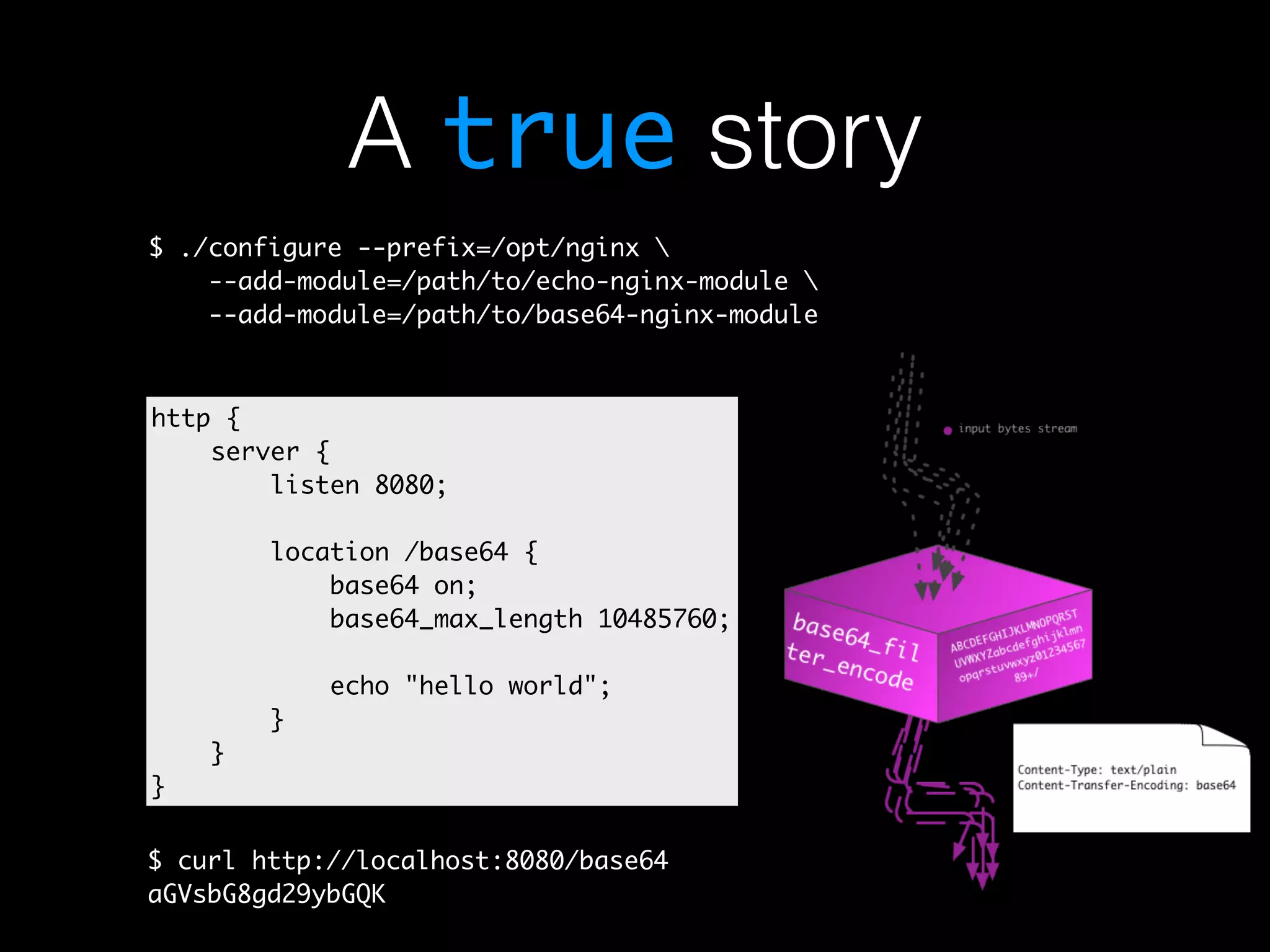 A true story $ ./configure --prefix=/opt/nginx --add-module=/path/to/echo-nginx-module --add-module=/path/to/base64-nginx-module http { server { listen 8080; location /base64 { base64 on; base64_max_length 10485760; echo "hello world"; } } } $ curl http://localhost:8080/base64 aGVsbG8gd29ybGQK 