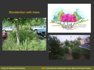 Bioretention with trees   