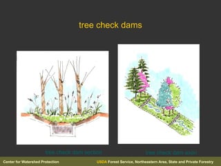 tree check dams tree check dam section tree check dam axon 