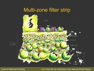 Multi-zone filter strip 