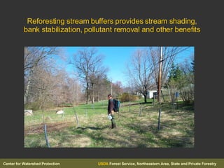 Reforesting stream buffers provides stream shading, bank stabilization, pollutant removal and other benefits 
