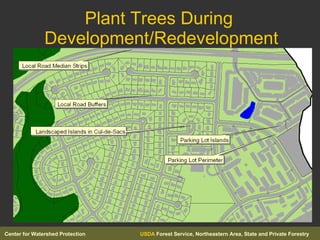 Plant Trees During  Development/Redevelopment 