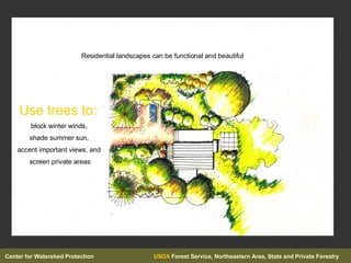 Use trees to:  block winter winds,  shade summer sun,  accent important views, and  screen private areas Residential lands...