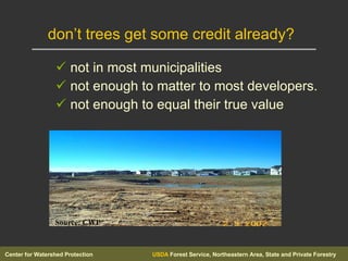 don’t trees get some credit already? <ul><ul><li>not in most municipalities </li></ul></ul><ul><ul><li>not enough to matte...