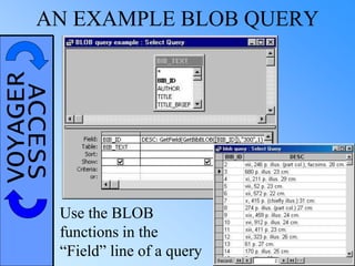 VOYAGERACCESSAN EXAMPLE BLOB QUERY
Use the BLOB
functions in the
“Field” line of a query
 