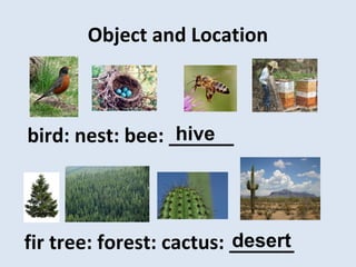 Object and Location
bird: nest: bee: ______hive
fir tree: forest: cactus: ______desert
 