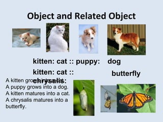 Object and Related Object
kitten: cat :: puppy: dog
kitten: cat ::
chrysalis:
butterfly
A kitten grows into a cat.
A puppy grows into a dog.
A kitten matures into a cat.
A chrysalis matures into a
butterfly.
 