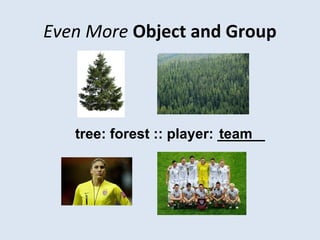 Even More Object and Group
teamtree: forest :: player: ______
 