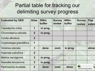 Partial table for tracking our
            delimiting survey progress
Evaluated by OED           Sites 200m        Survey 600m         Survey Pop
                                 buffer      review buffer       review extent
Caesalpinia crista          1     in prog.
Chromolaena odorata         2     in prog.
Cordia alliodora            3
Cryptostegia grandiflora    1
Delairea odorata            1      done       cont.   in prog.          almos
Imperata cylindrica         2
Melinis nerviglumis         3     in prog.
Nassella tenuissima         3     in prog.
Parkinsonia aculeata        2      done       cont.    done             define
 