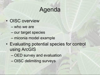 Agenda
• OISC overview
  – who we are
  – our target species
  – miconia model example
• Evaluating potential species for control
  using ArcGIS
  – OED survey and evaluation
  – OISC delimiting surveys
 