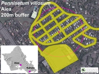 Pennisetum villosum
Aiea
200m buffer




     Aiea

            Kahala
 