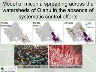 Model of miconia spreading across the
 watersheds of O‘ahu in the absence of
       systematic control efforts
Plants                 Model                 Affected
controlled             year 10




             Miconia in Tahiti   Miconia model output -Mānoa
 