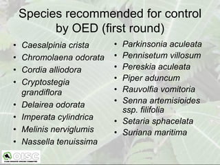 Species recommended for control
          by OED (first round)
•   Caesalpinia crista    • Parkinsonia aculeata
•   Chromolaena odorata   • Pennisetum villosum
•   Cordia alliodora      • Pereskia aculeata
•   Cryptostegia          • Piper aduncum
    grandiflora           • Rauvolfia vomitoria
•   Delairea odorata      • Senna artemisioides
                            ssp. filifolia
•   Imperata cylindrica   • Setaria sphacelata
•   Melinis nerviglumis   • Suriana maritima
•   Nassella tenuissima
 
