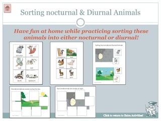 Sorting nocturnal & Diurnal Animals
Have fun at home while practicing sorting these
animals into either nocturnal or diurnal!
 