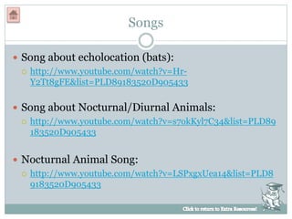 Songs
 Song about echolocation (bats):
 http://www.youtube.com/watch?v=Hr-
Y2Tt8gFE&list=PLD89183520D905433
 Song about Nocturnal/Diurnal Animals:
 http://www.youtube.com/watch?v=s7okKyl7C34&list=PLD89
183520D905433
 Nocturnal Animal Song:
 http://www.youtube.com/watch?v=LSPxgxUea14&list=PLD8
9183520D905433
 