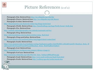 Picture References (2 of 2)
• Photograph of bat. Retrieved from http://en.wikipedia.org/wiki/Bat
• Photograph of beaver. Retrieved from http://en.wikipedia.org/wiki/Beaver
• Photograph of cricket. Retrieved from
http://fineartamerica.com/featured/cricket-bug-thiago-keniti.html
• Photograph of firefly. Retrieved from http://beneficialbugs.org/bugs/Firefly/boreal_firefly.htm
• Photograph of fox. Retrieved from
http://animals.nationalgeographic.com/animals/mammals/red-fox/
• Photograph of frog. Retrieved from
http://altertranslations.com/aa-photo/articles/using_flash.html
• Photograph of long eared jerboa. Retrieved from
http://www.factzoo.com/mammal/jerboa-long-legged-desert-rodent.html
• Photograph of moth. Retrieved from
http://www.museum.state.il.us/ismdepts/zoology/lepidoptera/gallery.html?RollID=roll02&FrameID=Manduca_Sexta_M
oth%253Droll02%2526FrameID%253DManduca_Sexta_Moth%3B600%3B370
• Photograph of owl. Retrieved from
http://usadultliteracy.wordpress.com/category/idioms-2/page/2/
• Photograph of owl eyes. Retrieved from
http://commons.wikimedia.org/wiki/File:Owl_Eyes_%284572888238%29.jpg
• Photograph of snail. Retrieved from http://www.snail-world.com/Snail-Facts.html
• Photograph of turtle. Retrieved from http://srelherp.uga.edu/turtles/steodo.htm
 