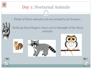 Day 1: Nocturnal Animals
 Think of three animals you see around your houses…
 Hold up three fingers when you’ve thought of the three
animals.
 