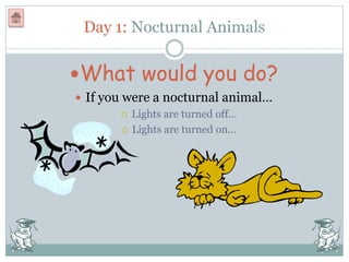 Day 1: Nocturnal Animals
What would you do?
 If you were a nocturnal animal…
 Lights are turned off…
 Lights are turned on…
 