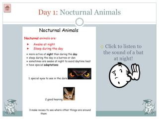 Day 1: Nocturnal Animals
 Click to listen to
the sound of a bat
at night!
 