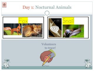 Day 1: Nocturnal Animals
Volunteers
to trace!
 
