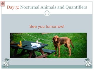 Day 3: Nocturnal Animals and Quantifiers
See you tomorrow!
 
