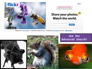 Using Blogs to Promote Science Literacy