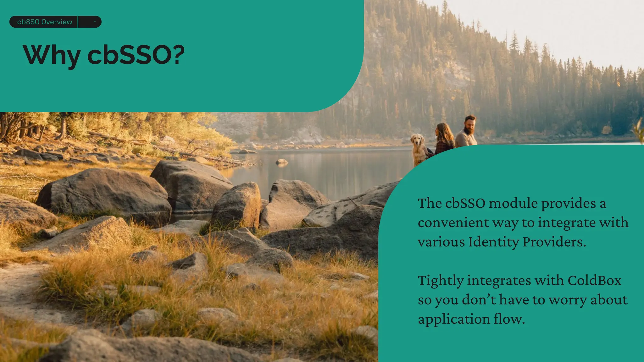 Why cbSSO?
The cbSSO module provides a
convenient way to integrate with
various Identity Providers.
Tightly integrates with ColdBox
so you don’t have to worry about
application flow.
cbSSO Overview 10
 