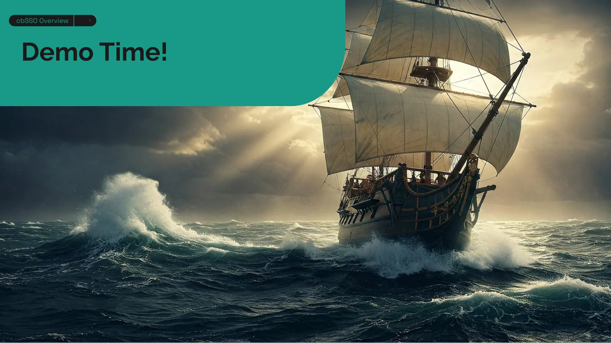 Demo Time!
cbSSO Overview 13
 