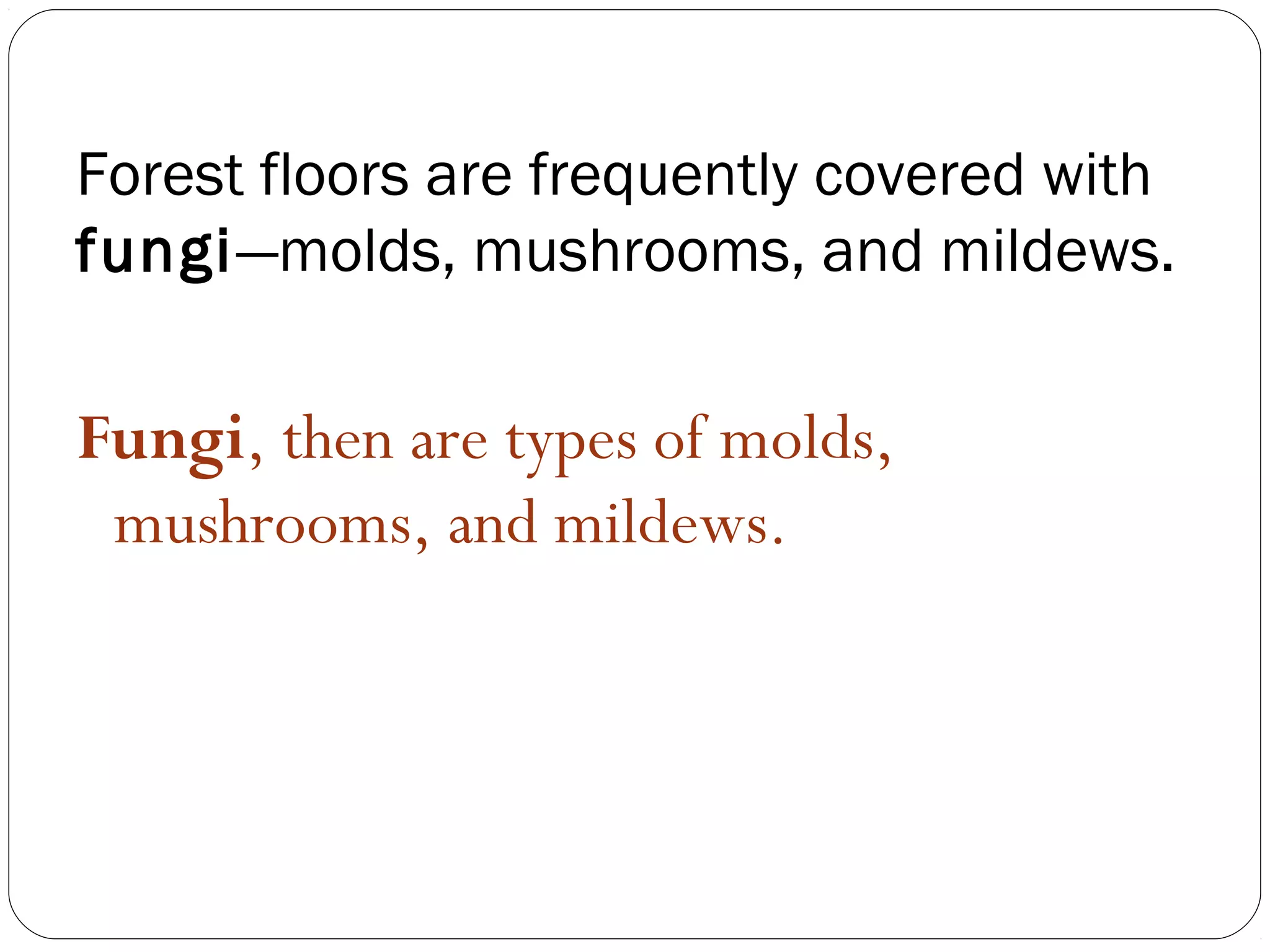 Forest floors are frequently covered with
fungi—molds, mushrooms, and mildews.

Fungi, then are types of molds,
 mushrooms, and mildews.
 