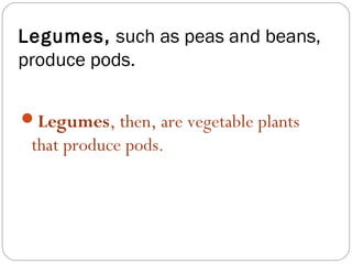 Legumes, such as peas and beans,
produce pods.

Legumes, then, are vegetable plants
 that produce pods.
 