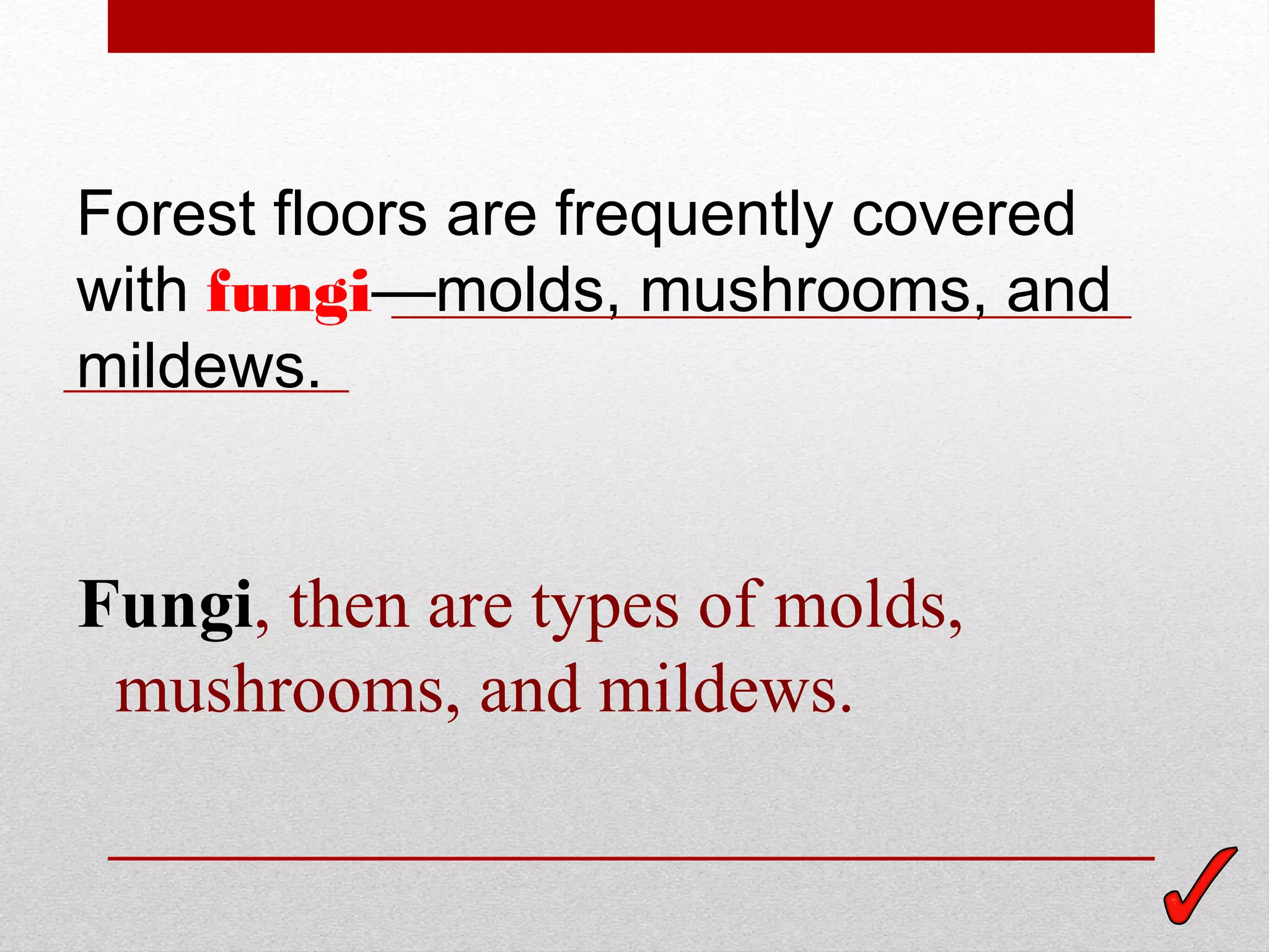 Forest floors are frequently covered
with fungi—molds, mushrooms, and
mildews.


Fungi, then are types of molds,
 mushrooms, and mildews.
 