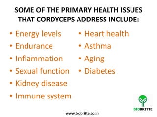 SOME OF THE PRIMARY HEALTH ISSUES
THAT CORDYCEPS ADDRESS INCLUDE:
• Energy levels
• Endurance
• Inflammation
• Sexual function
• Kidney disease
• Immune system
• Heart health
• Asthma
• Aging
• Diabetes
www.biobritte.co.in
 