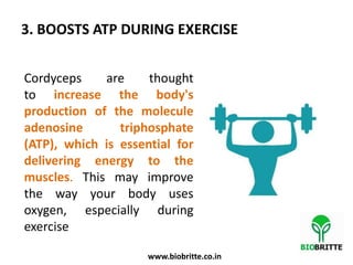 3. BOOSTS ATP DURING EXERCISE
Cordyceps are thought
to increase the body's
production of the molecule
adenosine triphosphate
(ATP), which is essential for
delivering energy to the
muscles. This may improve
the way your body uses
oxygen, especially during
exercise
www.biobritte.co.in
 