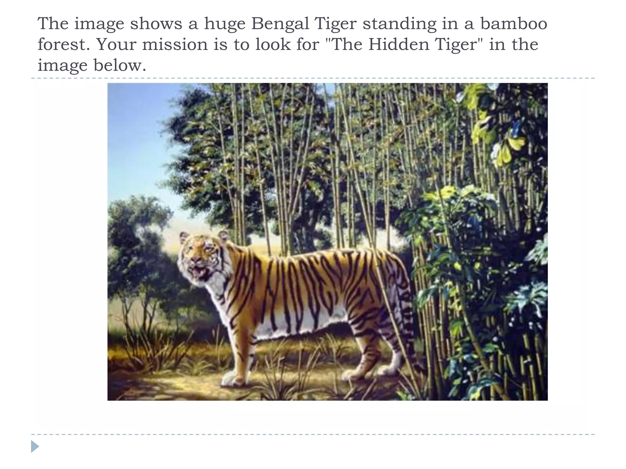 The image shows a huge Bengal Tiger standing in a bamboo
forest. Your mission is to look for "The Hidden Tiger" in the
image below.

 