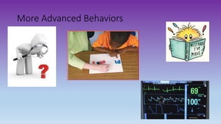 More Advanced Behaviors
 