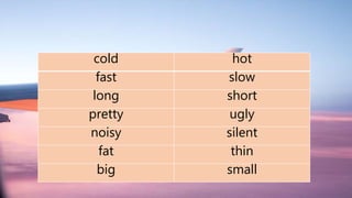 cold hot
fast slow
long short
pretty ugly
noisy silent
fat thin
big small
 