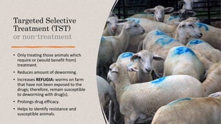 Targeted Selective
Treatment (TST)
or non-treatment
• Only treating those animals which
require or (would benefit from)
treatment.
• Reduces amount of deworming.
• Increases REFUGIA: worms on farm
that have not been exposed to the
drugs; therefore, remain susceptible
to deworming with drug(s).
• Prolongs drug efficacy.
• Helps to identify resistance and
susceptible animals.
 