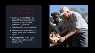 • Developed in the 1990’s by
South African researchers in
response to ever-growing
dewormer resistance.
• Developed for sheep originally.
• Validated (by the ACSRPC) for
sheep, goats, and camelids in
the US.
• Named for one of the South
African researchers: FAffa
MAlan CHArt ⇒
 