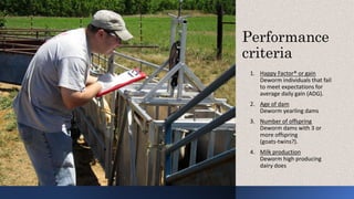 Performance
criteria
1. Happy Factor® or gain
Deworm individuals that fail
to meet expectations for
average daily gain (ADG).
2. Age of dam
Deworm yearling dams
3. Number of offspring
Deworm dams with 3 or
more offspring
(goats-twins?).
4. Milk production
Deworm high producing
dairy does
 