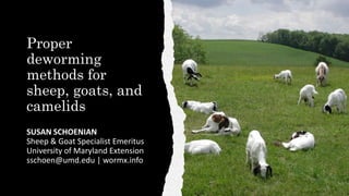 Proper
deworming
methods for
sheep, goats, and
camelids
SUSAN SCHOENIAN
Sheep & Goat Specialist Emeritus
University of Maryland Extension
sschoen@umd.edu | wormx.info
 